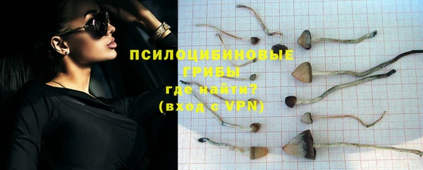 СК Богданович