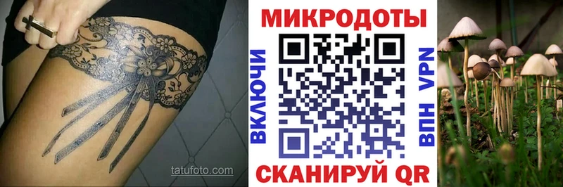 Галлюциногенные грибы прущие грибы  купить  сайты  kraken как войти  Великие Луки 